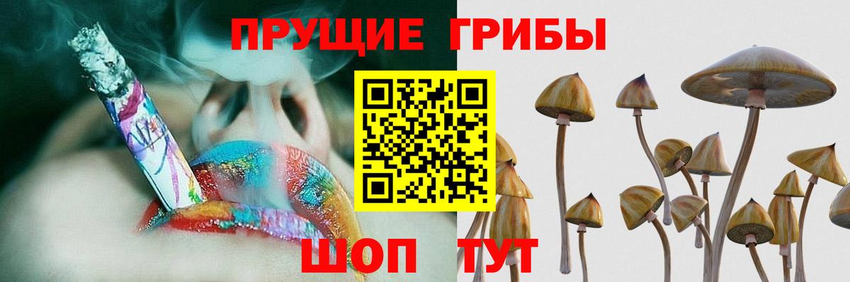 Псилоцибиновые грибы MAGIC MUSHROOMS Иваново